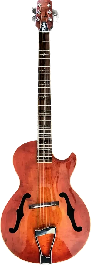 Papin archtop with f-holes